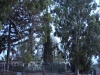 dsc00532