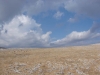 dsc00541