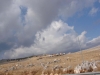 dsc00542