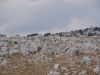dsc00547